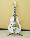 G7593 white falcon.jpg